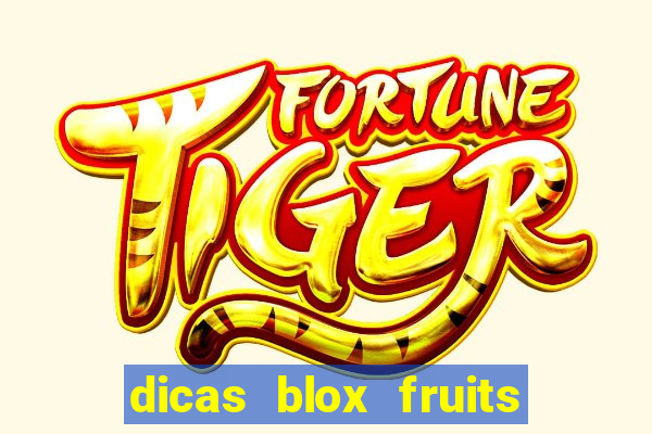 dicas blox fruits sea 1