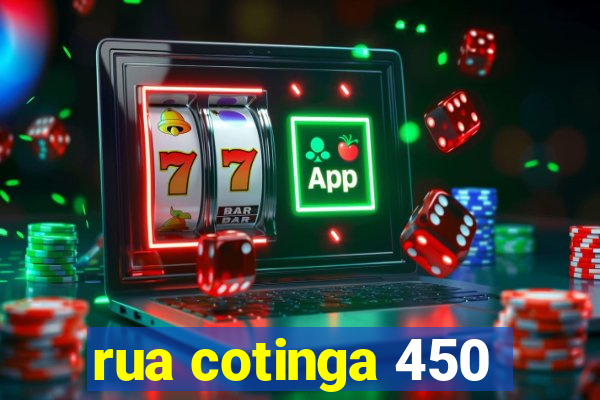 rua cotinga 450