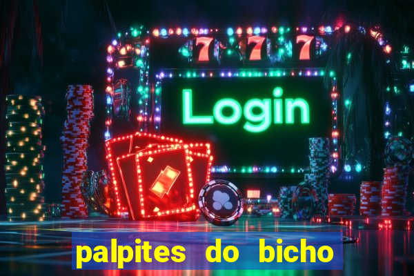 palpites do bicho no celular