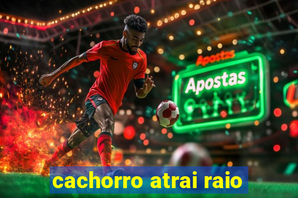 cachorro atrai raio