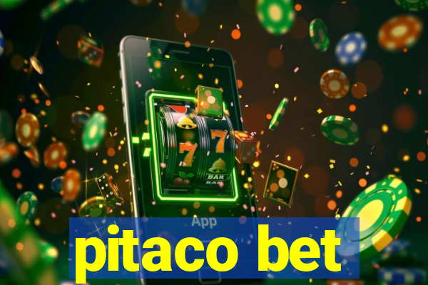 pitaco bet