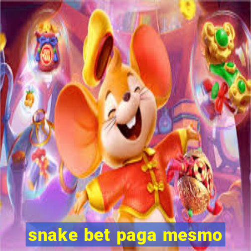 snake bet paga mesmo