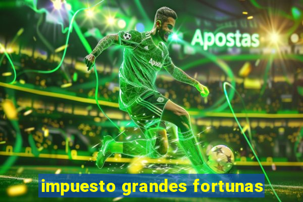 impuesto grandes fortunas