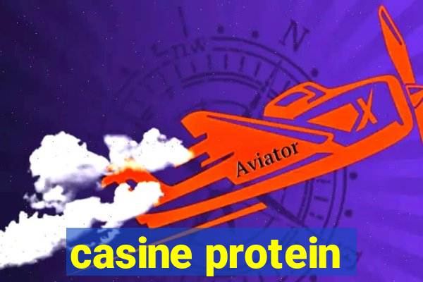 casine protein