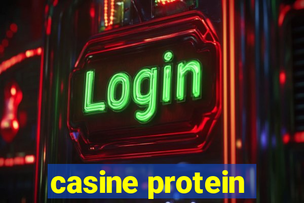 casine protein