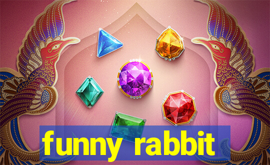 funny rabbit