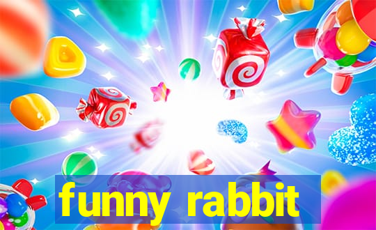 funny rabbit