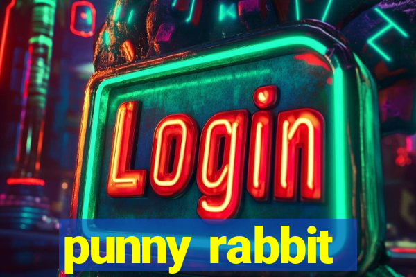 punny rabbit