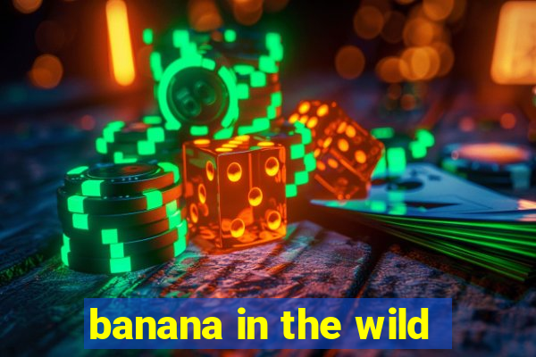 banana in the wild