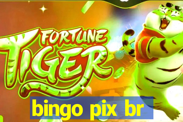 bingo pix br