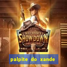 palpite do xande de hoje