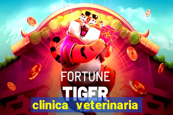 clinica veterinaria cuidar betim