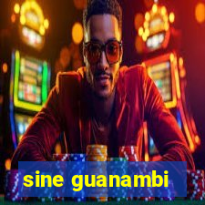 sine guanambi