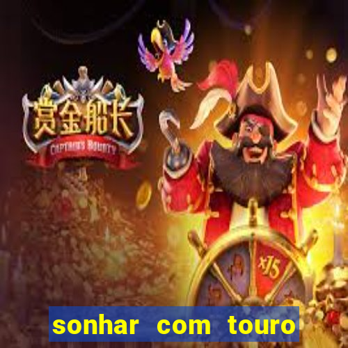 sonhar com touro mega sena