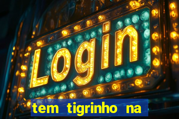 tem tigrinho na bet 365