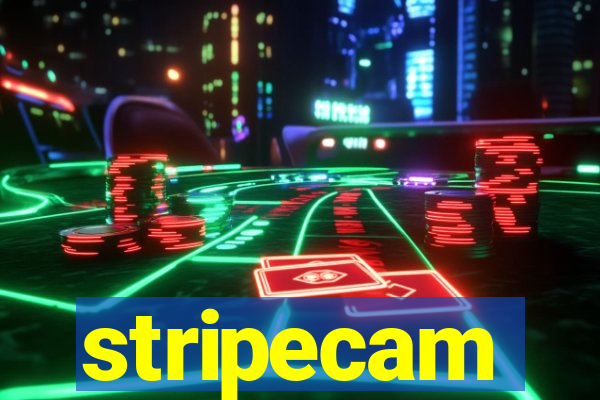 stripecam