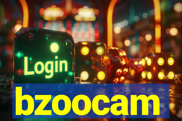 bzoocam