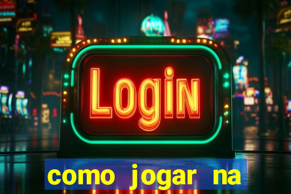 como jogar na lotinha do jogo do bicho