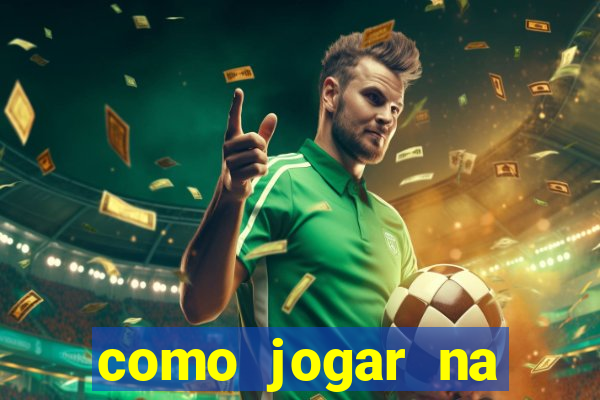 como jogar na lotinha do jogo do bicho