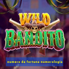 numero da fortuna numerologia