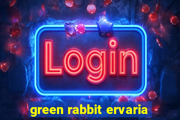 green rabbit ervaria