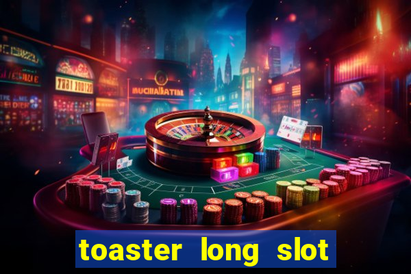 toaster long slot 2 slice