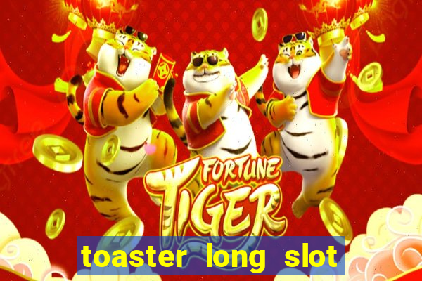 toaster long slot 2 slice