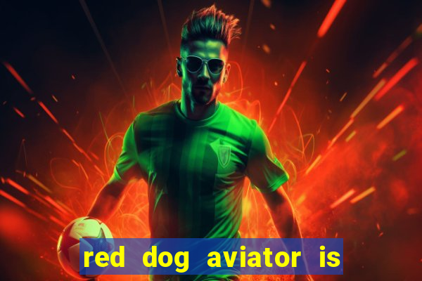 red dog aviator is real or fake