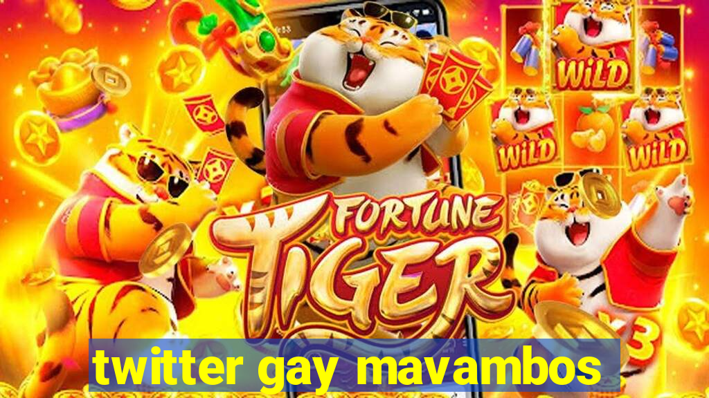 twitter gay mavambos