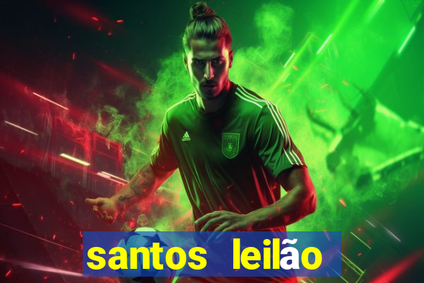 santos leilão passo fundo