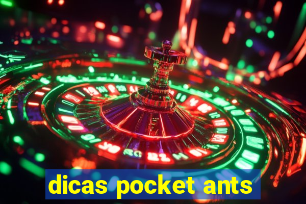 dicas pocket ants