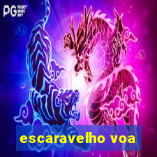 escaravelho voa