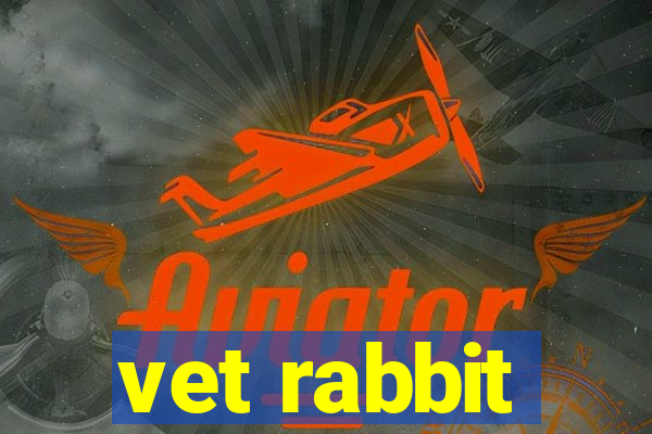 vet rabbit