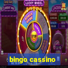 bingo cassino