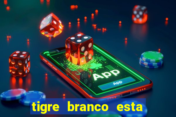 tigre branco esta em extinção