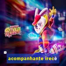 acompanhante irecê