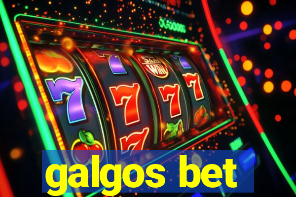 galgos bet