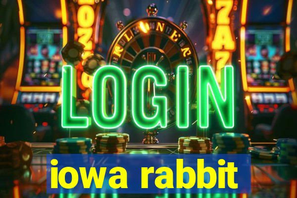 iowa rabbit