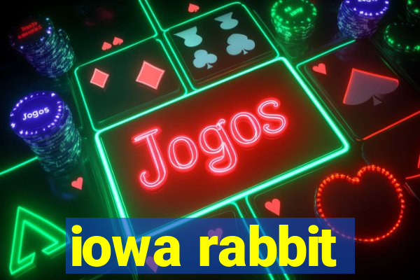 iowa rabbit