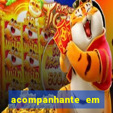 acompanhante em porto velho