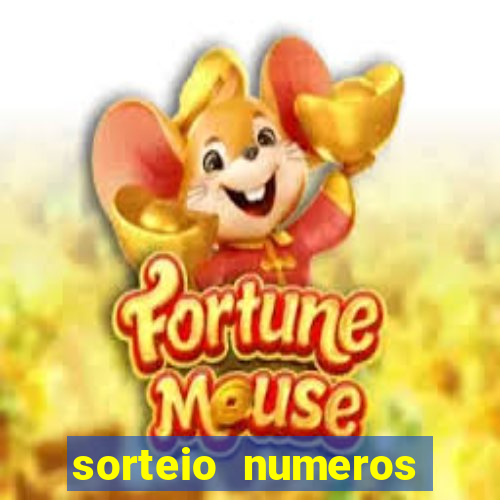 sorteio numeros bingo online