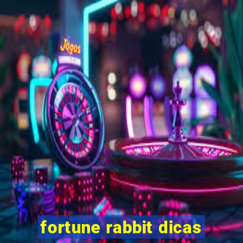 fortune rabbit dicas