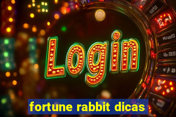 fortune rabbit dicas