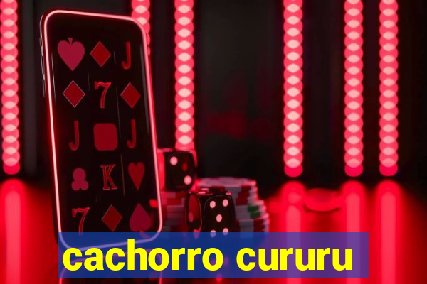 cachorro cururu