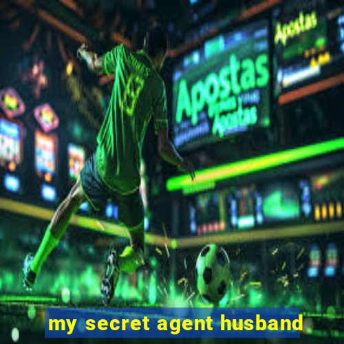 my secret agent husband