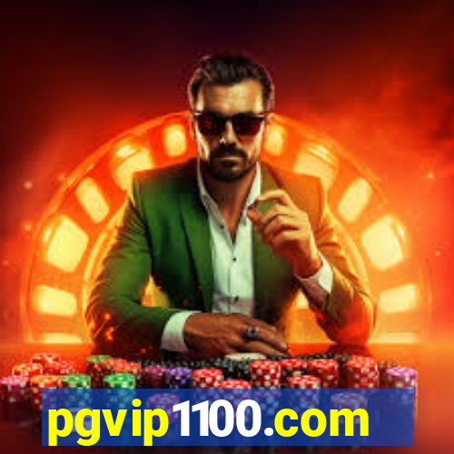 pgvip1100.com