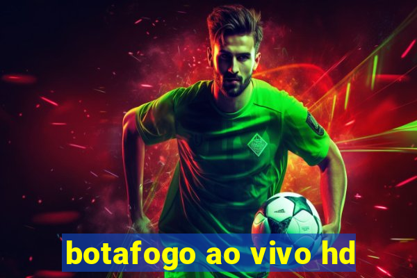 botafogo ao vivo hd