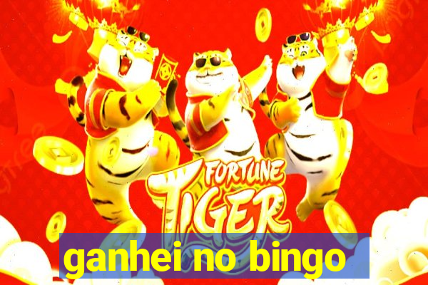 ganhei no bingo