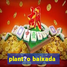 plant?o baixada