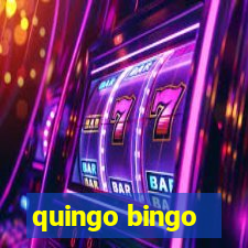 quingo bingo